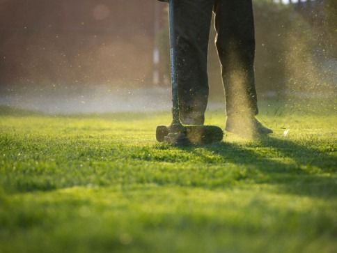 A person uses a string trimmer to cut grass in a sunlit yard, creating a fine mist of grass clippings.
