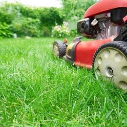 A close-up view of a red lawnmower on a vibrant green lawn in a garden setting.