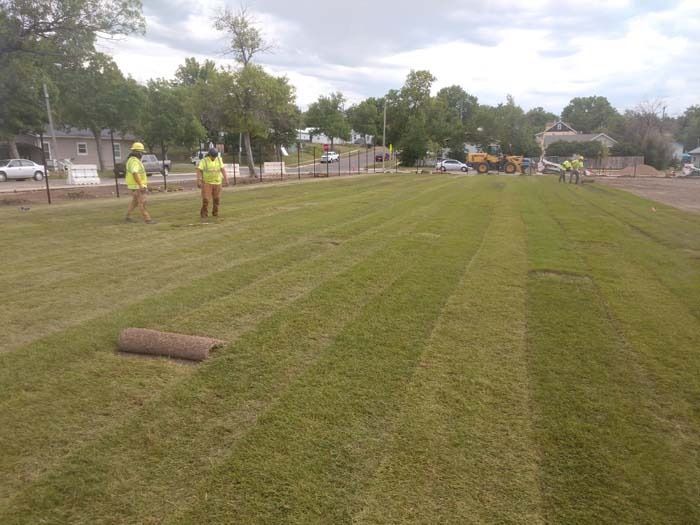 Workers in high-visibility vests lay rows of sod on a large, grassy field during a sunny day.