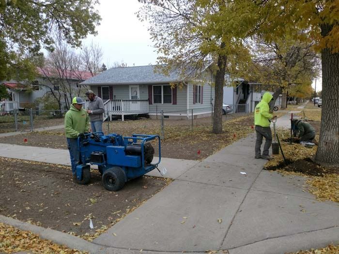 Workers in high-visibility gear use a blue trenching machine on a residential lawn near a sidewalk in autumn.