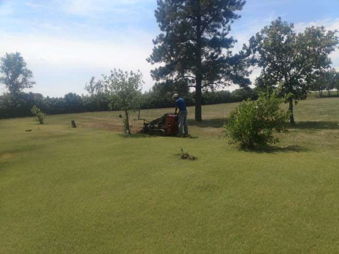 A person operates a red riding lawnmower on a sunny, grassy lawn with scattered trees in the background.