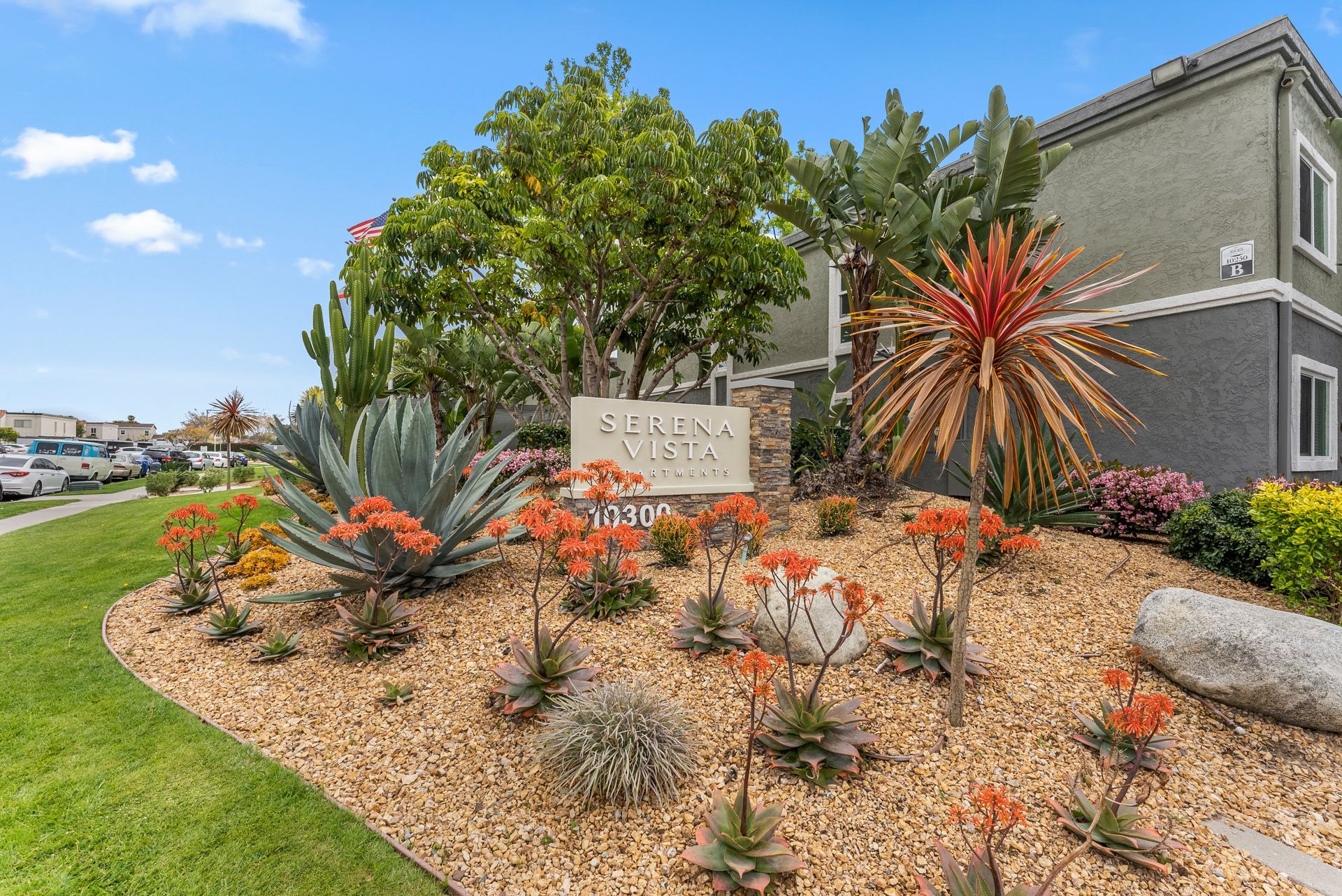 Serena Vista Apartments photo gallery