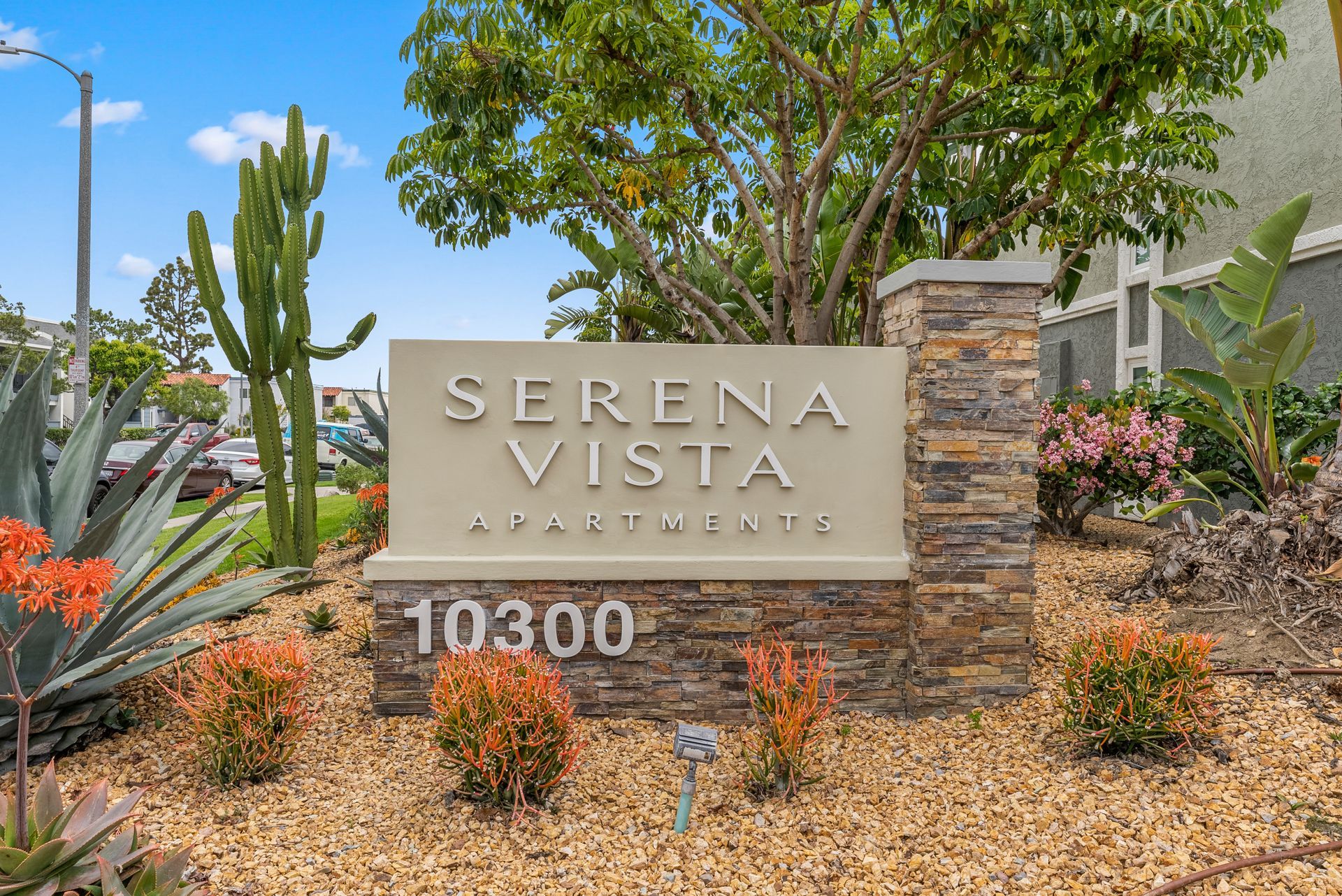 Serena Vista Apartments photo gallery