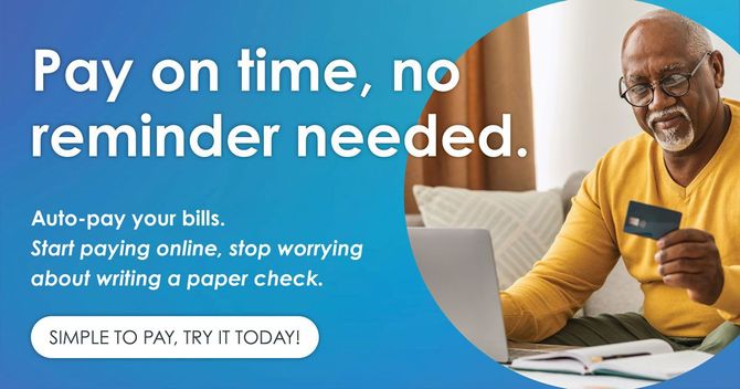 Online Payment Banner