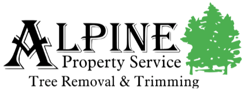 Alpine Property Services