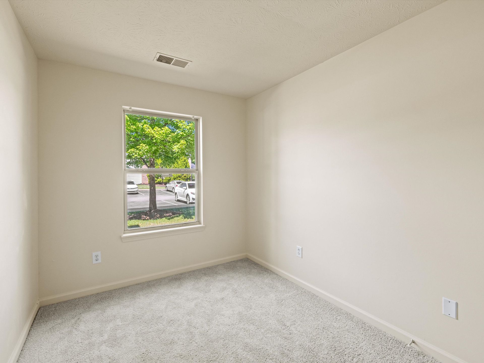 An empty bedroom with a window and a tree in the background.