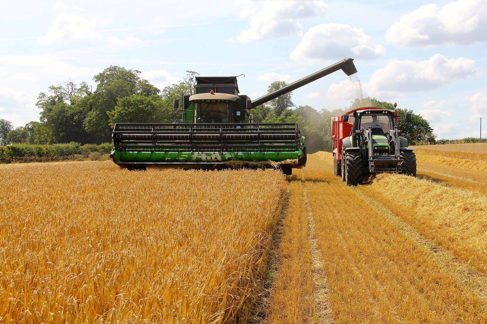 Combine harvesting wheat beside a tractor in a golden field under a clear sky