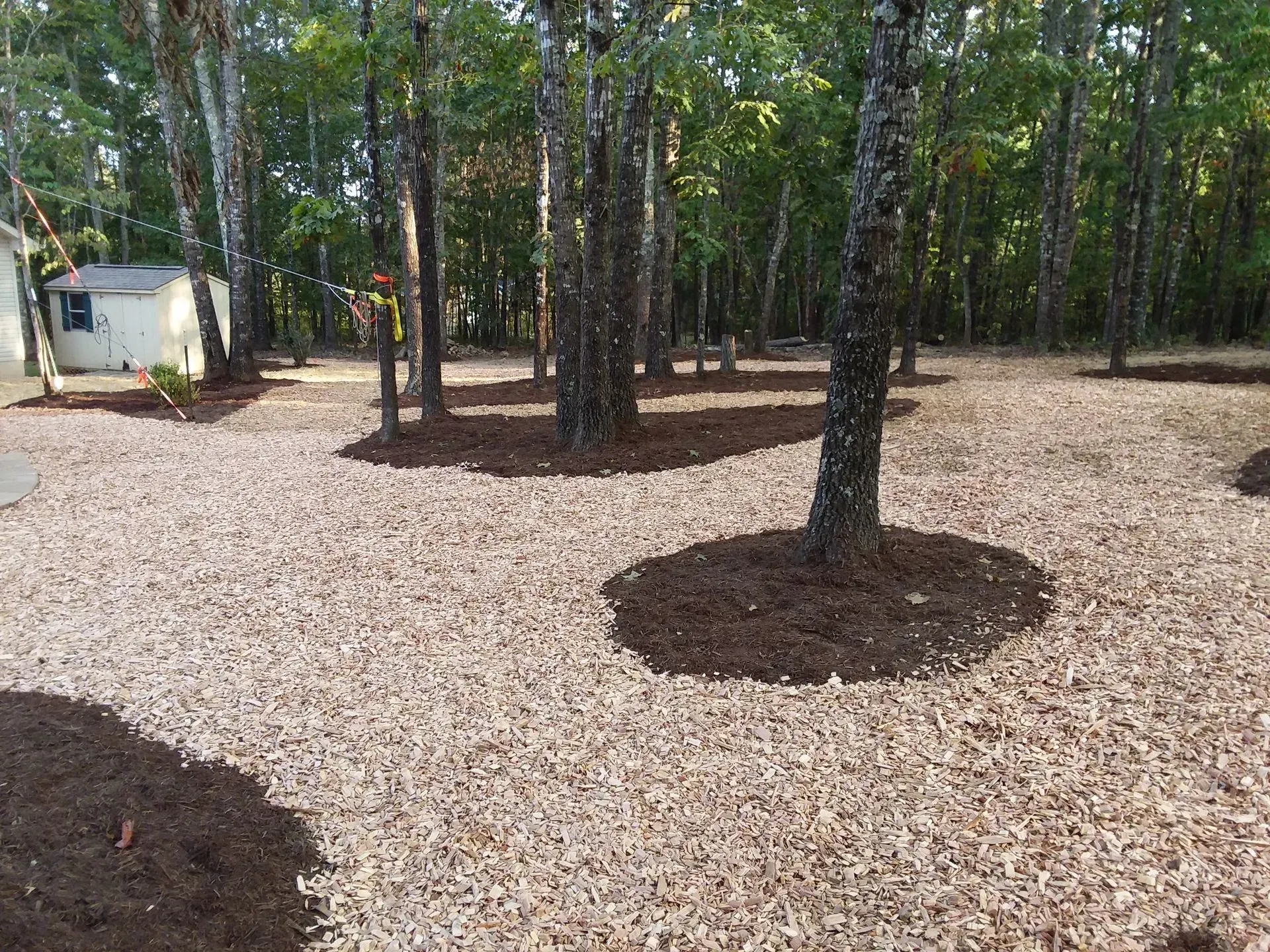 Wooded campsite with gravel ground, trees, and a small white trailer on the left