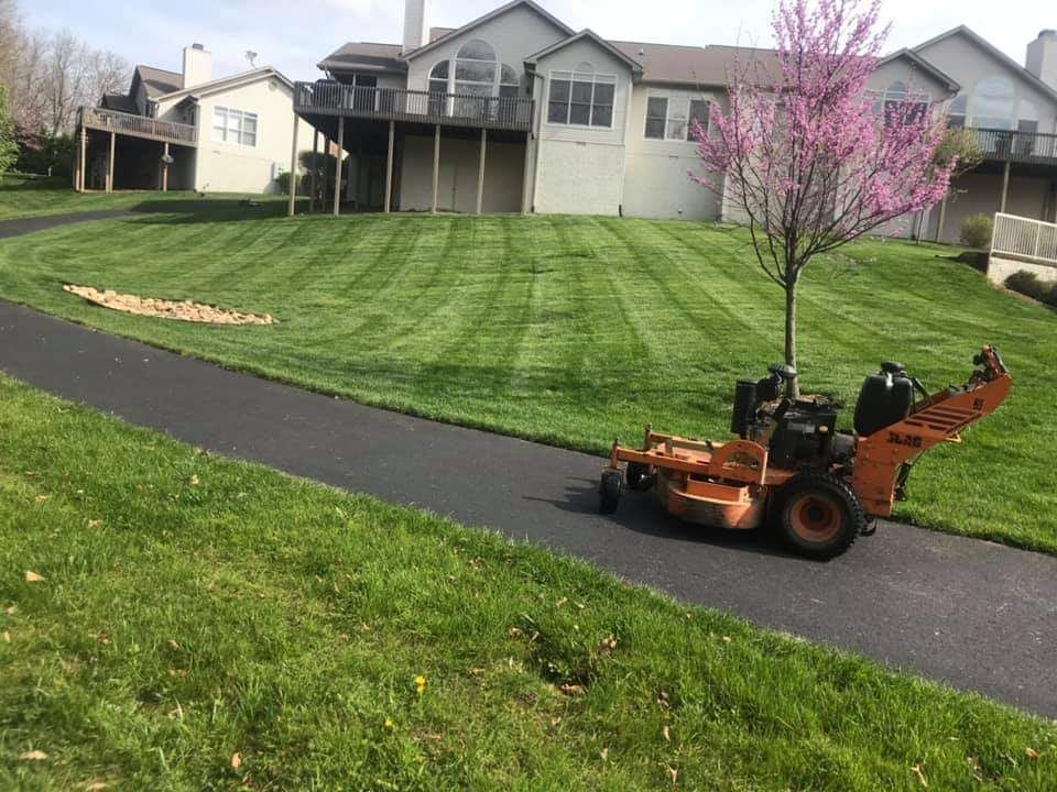 Lawn care worker on orange riding mower mowing a striped green lawn near a house and pink flowering tree