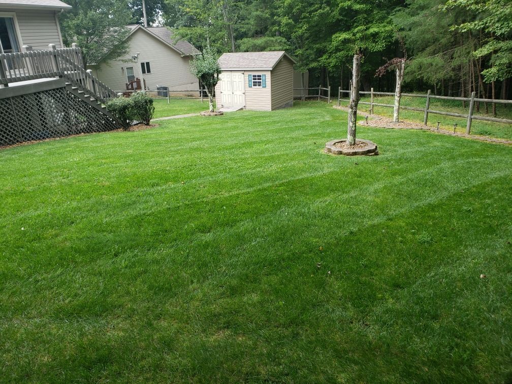 Freshly mowed green backyard with a small shed, deck, and young tree near a fenced edge.