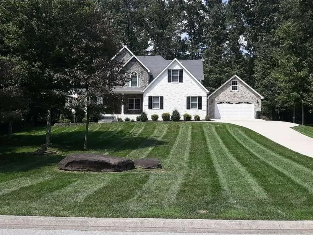 White two-story house with a large striped lawn, driveway, and tall trees in the background