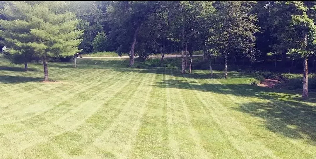 Freshly mowed grassy field bordered by trees in a sunny park