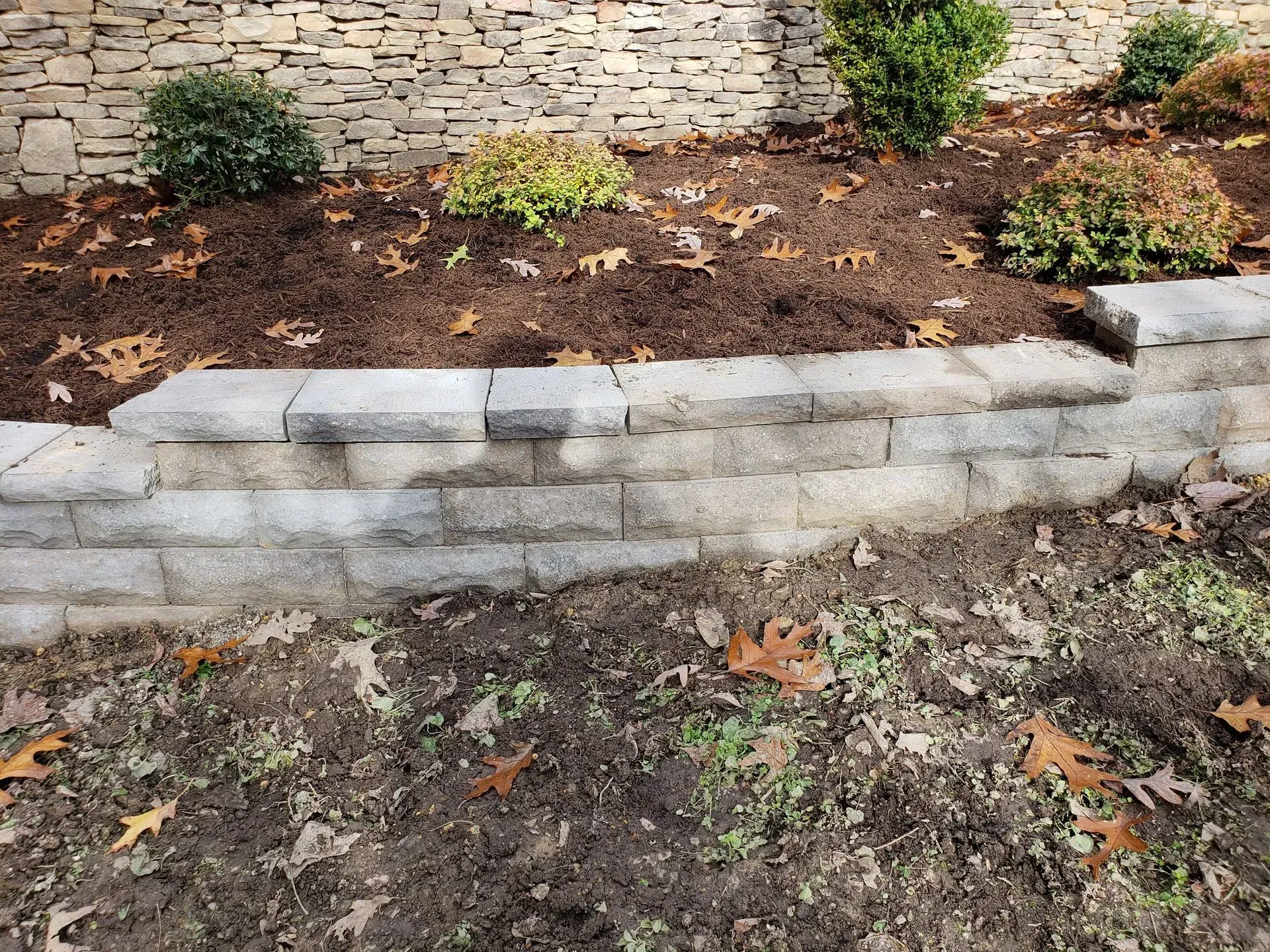 Stone retaining wall with mulch bed and small shrubs in front of a stone backdrop