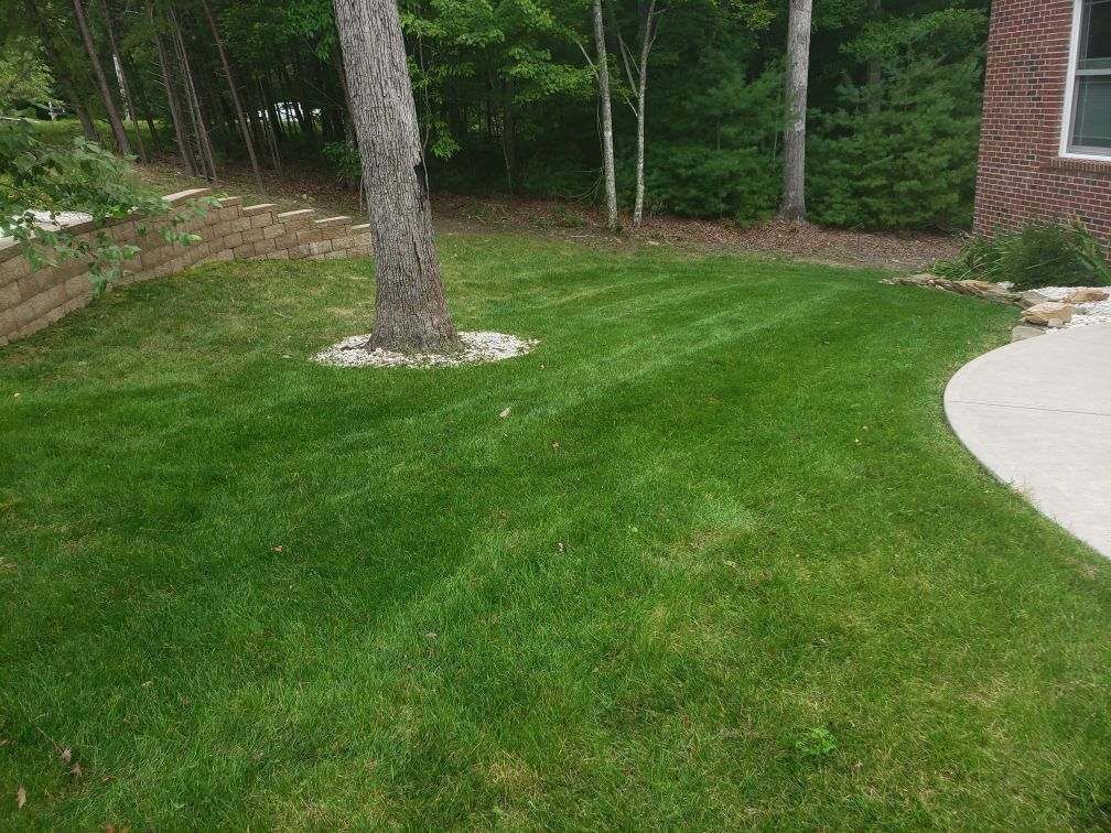 Green lawn with a large tree, wooded background, and a curved concrete walkway beside a house.