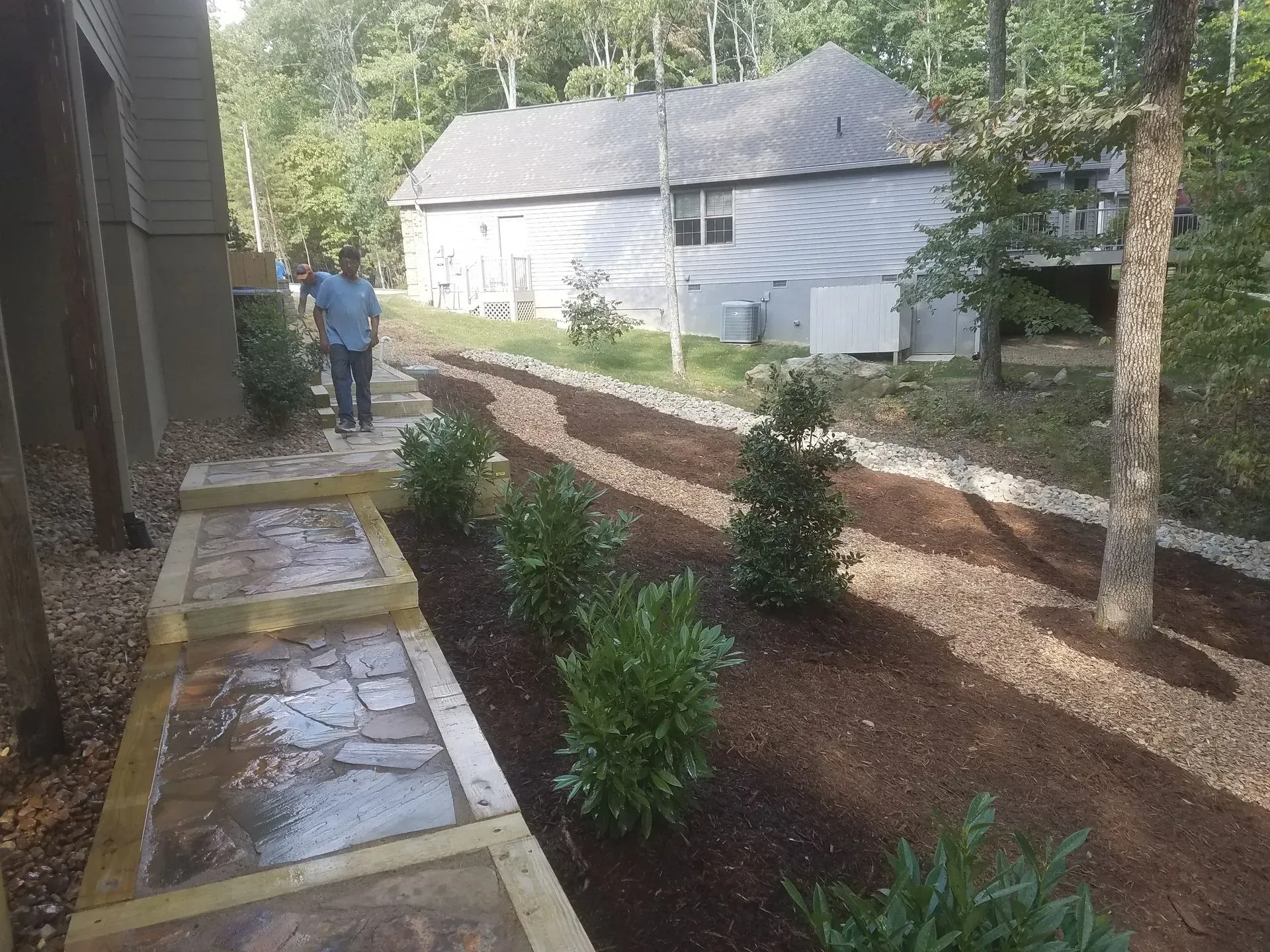 Backyard garden path with mulch beds, young shrubs, and a white shed beside a person near a fence