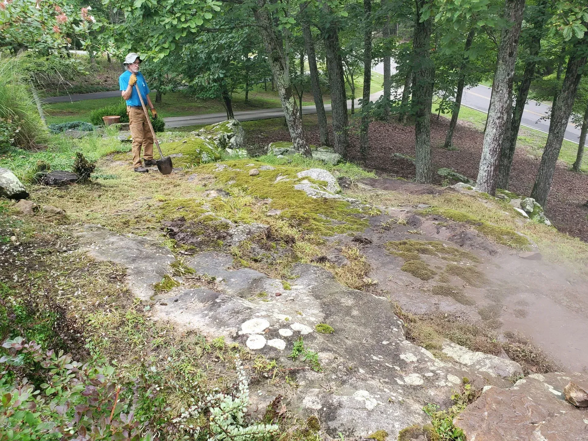 Person standing on a rocky, mossy slope in a forested park with trees and a path nearby