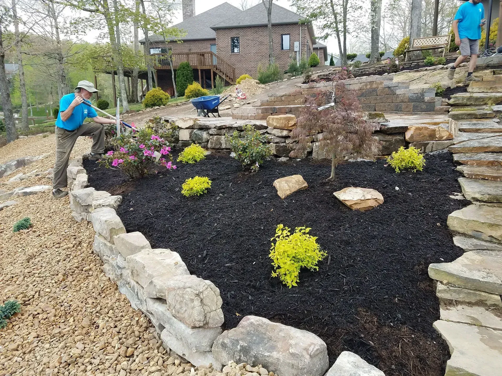 People landscaping a stone garden bed with black mulch and yellow flowers beside a house