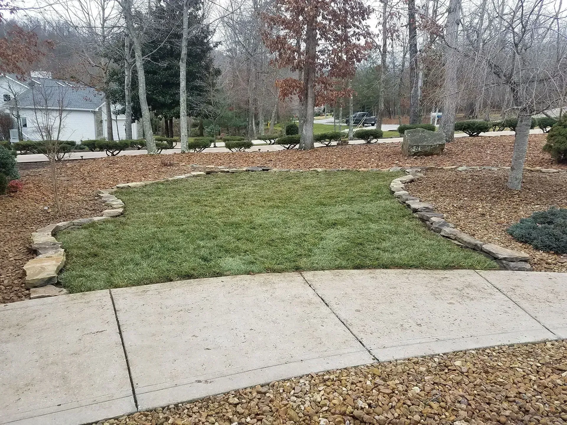 Curved backyard garden bed with grass, mulch, trees, and a concrete patio in front.