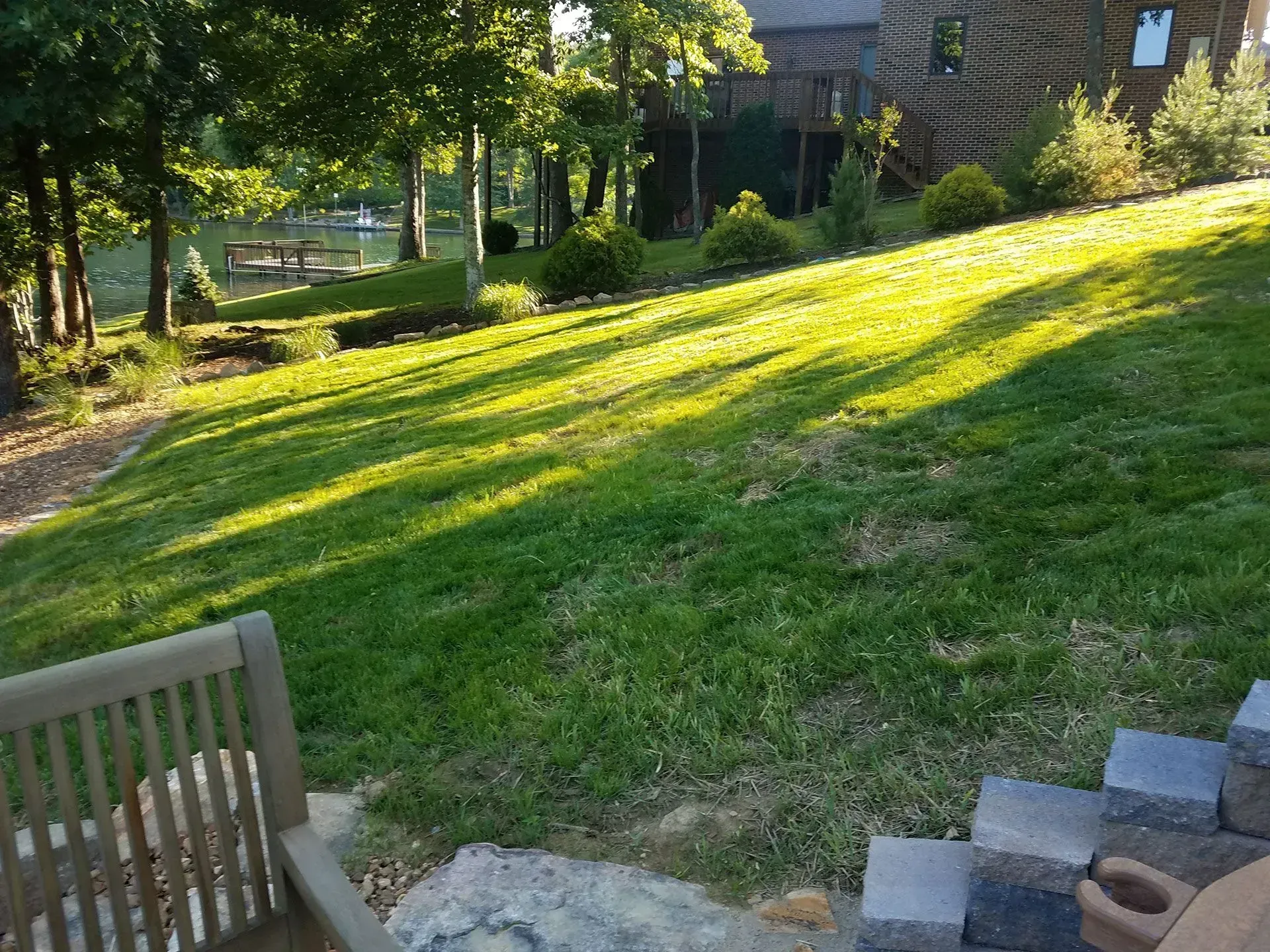 Sunny grassy yard with trees, a sloped lawn, and a wooden bench in the foreground