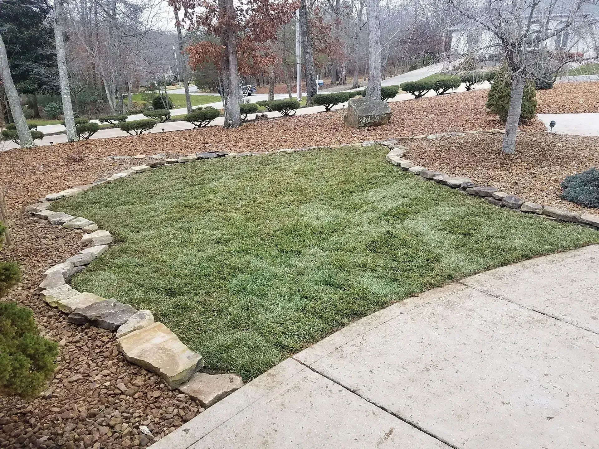 Curved stone-edged mulch bed with patchy grass beside a sidewalk in a landscaped park.