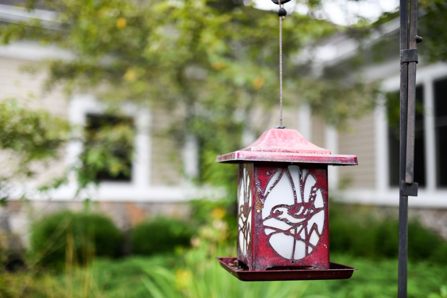 Decorative red bird feeder in the Bellamy Assisted Living outdoor garden