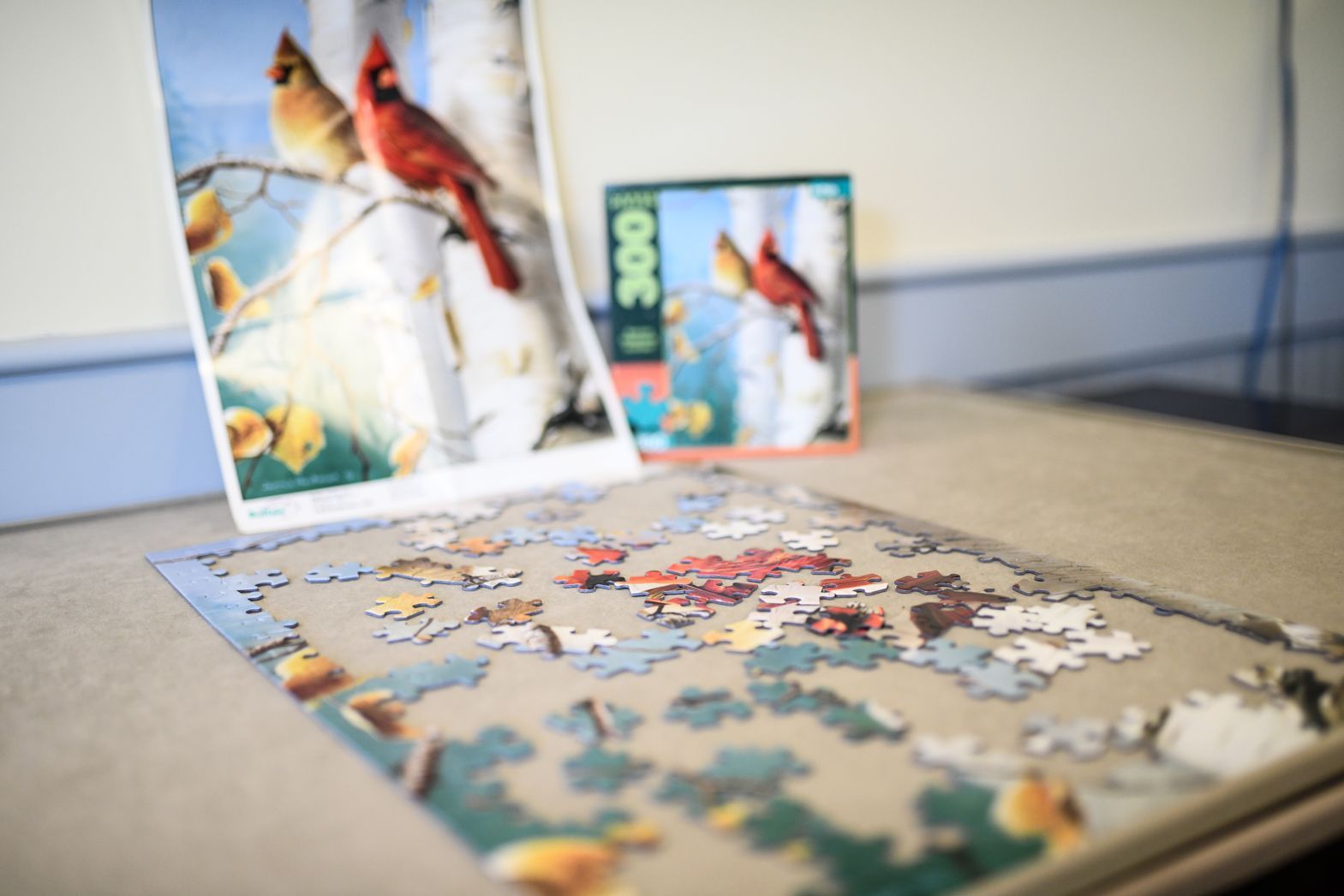 Partially completed puzzle with colorful images on a table at Bellamy Assisted Living