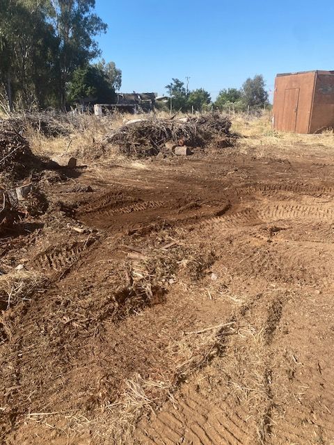 Dirt road in a dry, cleared area with brush piles, trees, and a rust-colored shed under a blue sky