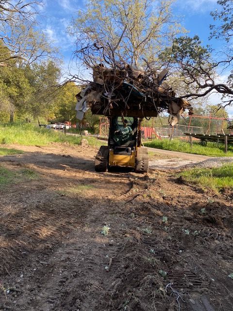 A skid steer carrying a large uprooted tree in a muddy outdoor work area with trees and blue sky.