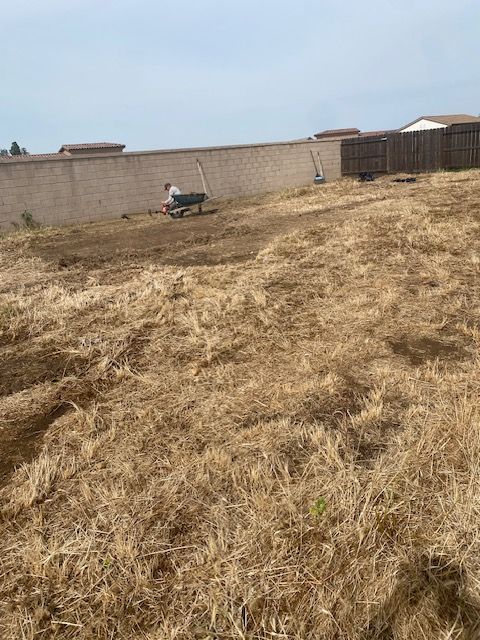 Dry grassy yard with a wheelbarrow near a brick wall under a clear sky