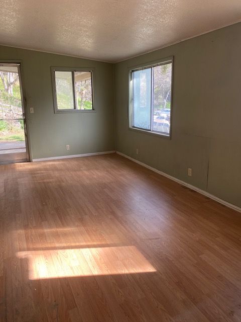 Empty room with wood floors, green walls, and large windows letting in sunlight.