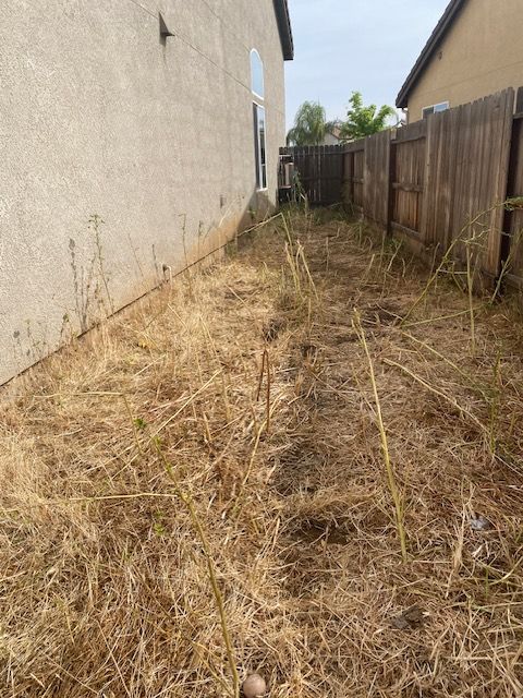 Narrow dry, overgrown side yard between a house wall and wooden fence
