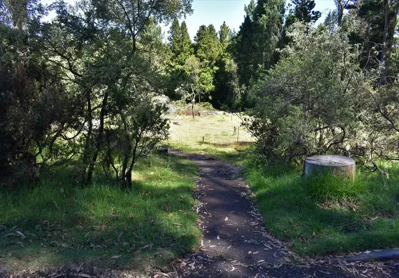 Hosmer’s Grove