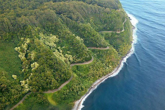 An aerial view of a road going through a lush green forest next to the ocean.