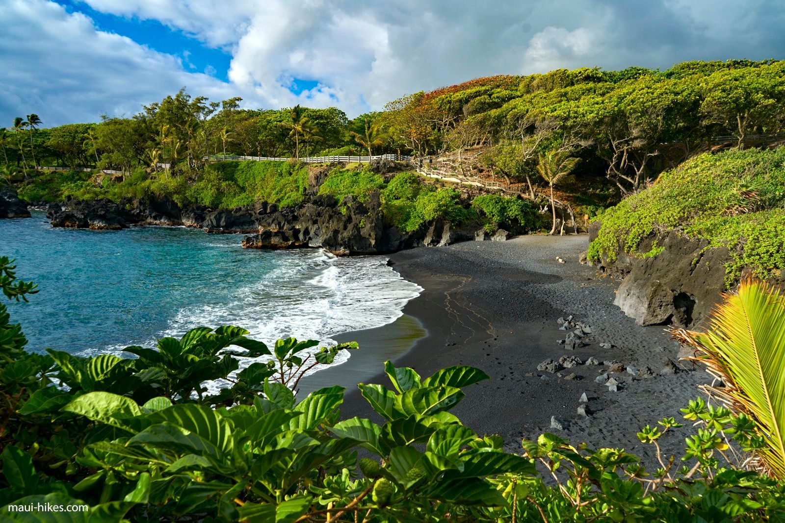 There is a black sandy beach in the middle of the ocean surrounded by trees.