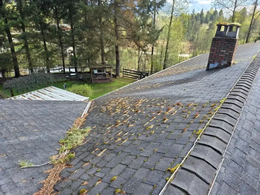 Sloped shingled roof with chimney beside a wooded yard and gravel driveway