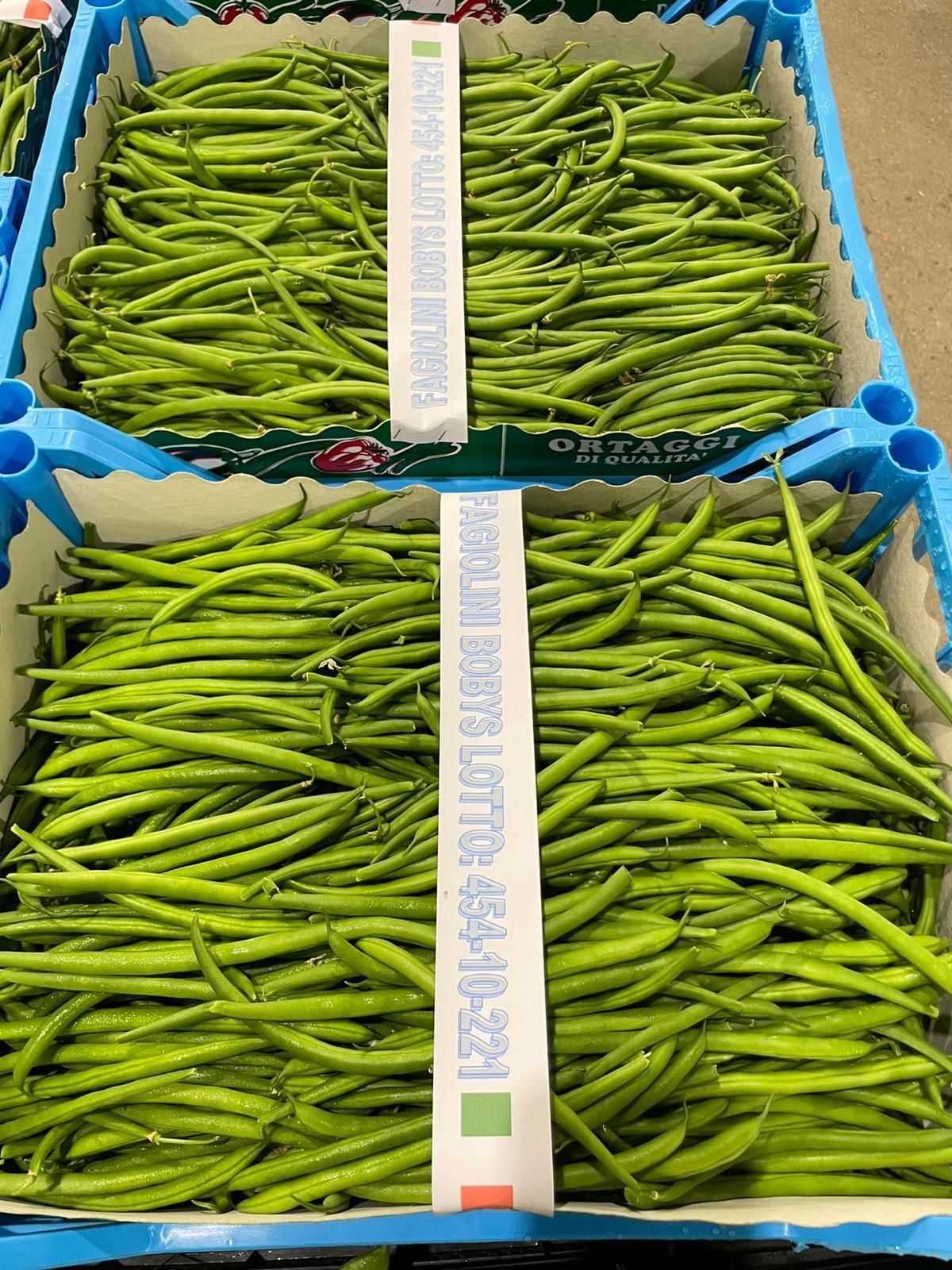 fagiolini