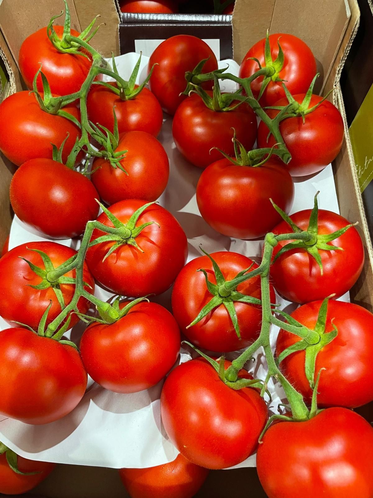pomodori