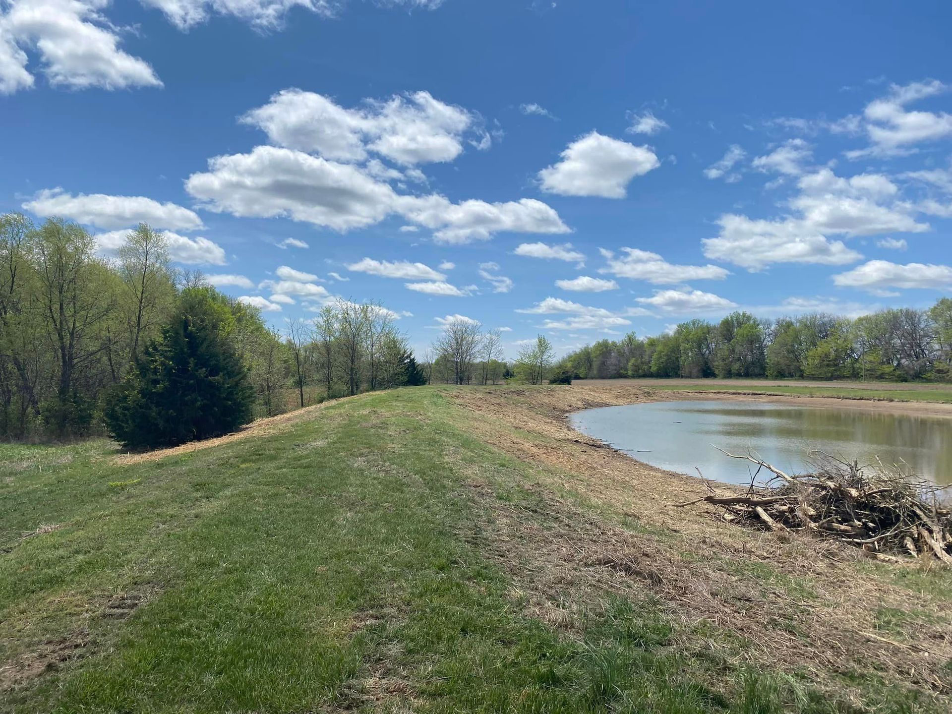 Grassy embankment next to a pond, trees in the background under a blue sky with white fluffy clouds.