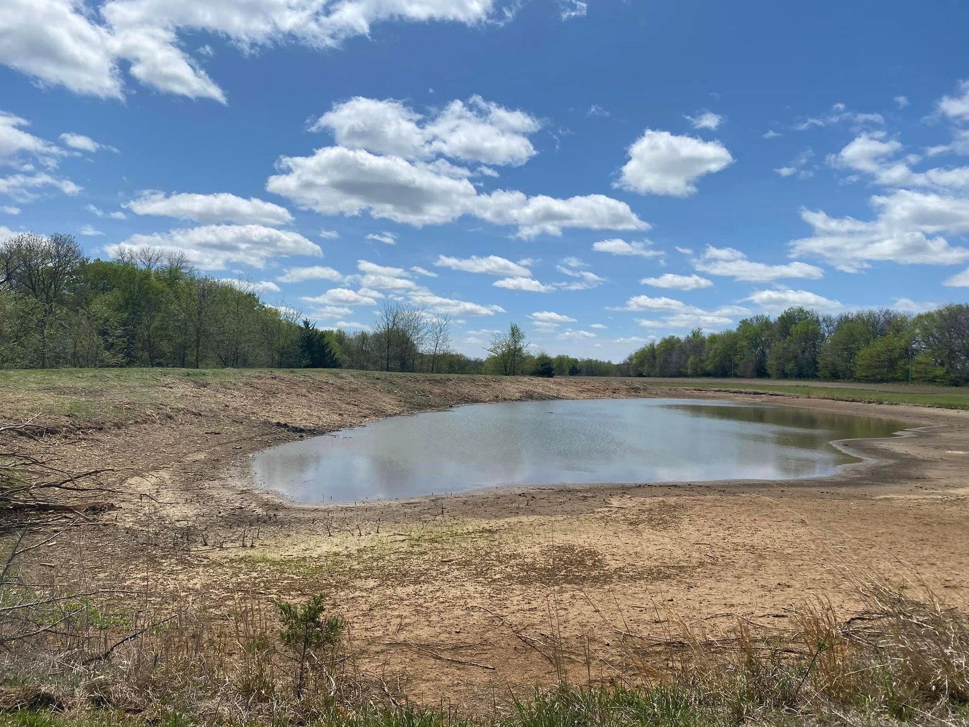 Pond in a field under a bright blue sky with fluffy clouds, surrounded by trees and dry, brown earth.