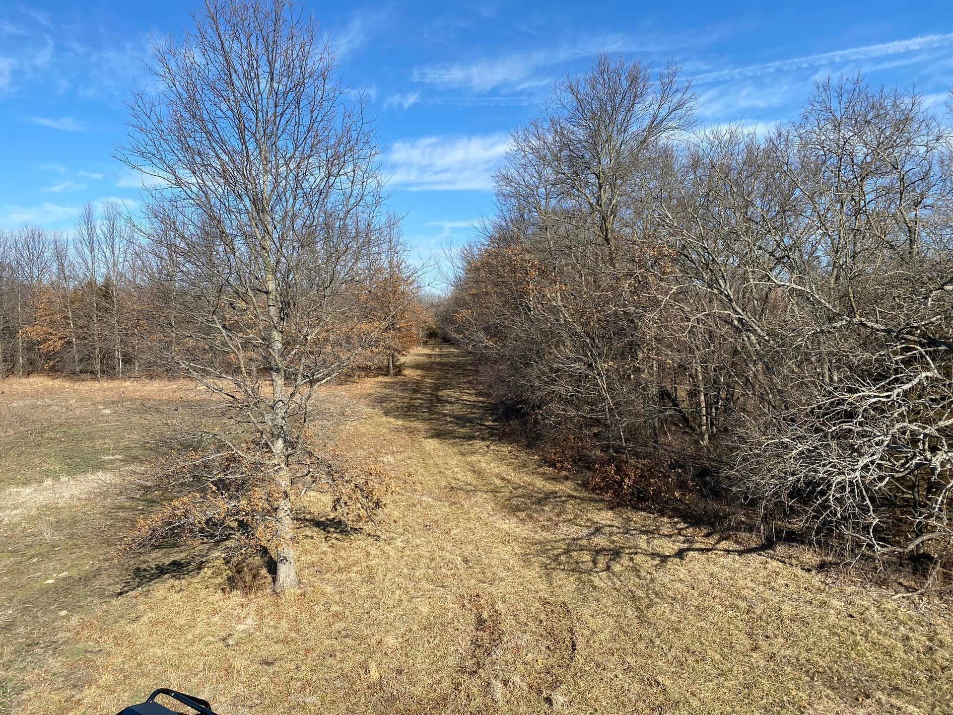 Dirt path through bare trees under a blue sky; autumn setting.