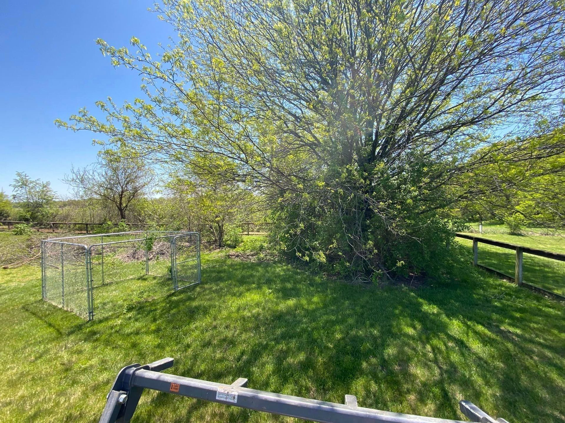 A sunny yard with a large tree, green grass, a small fenced garden, and a blue sky.