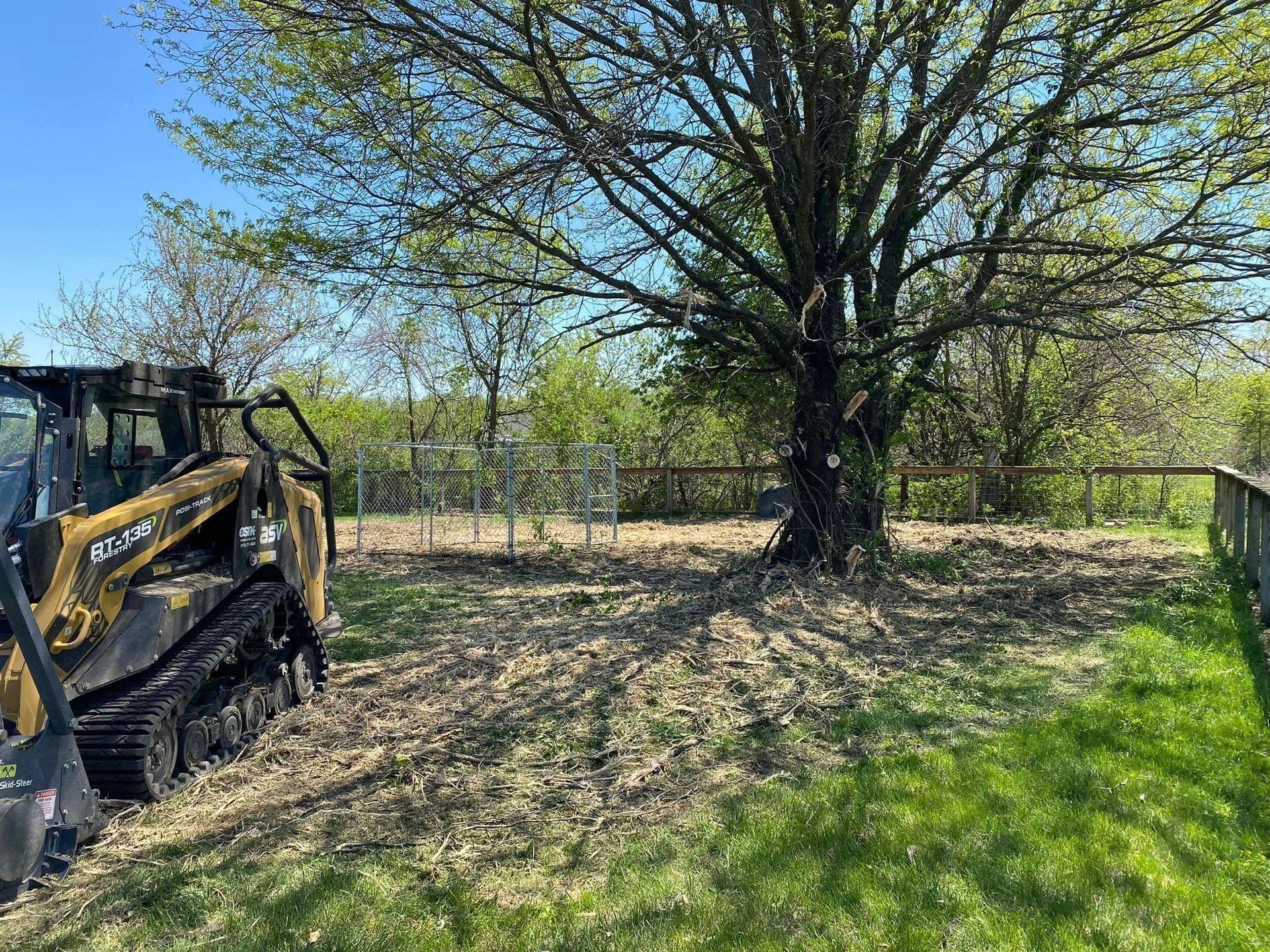 Yellow skid steer next to a cleared area under a tree. The setting is a yard with green grass.