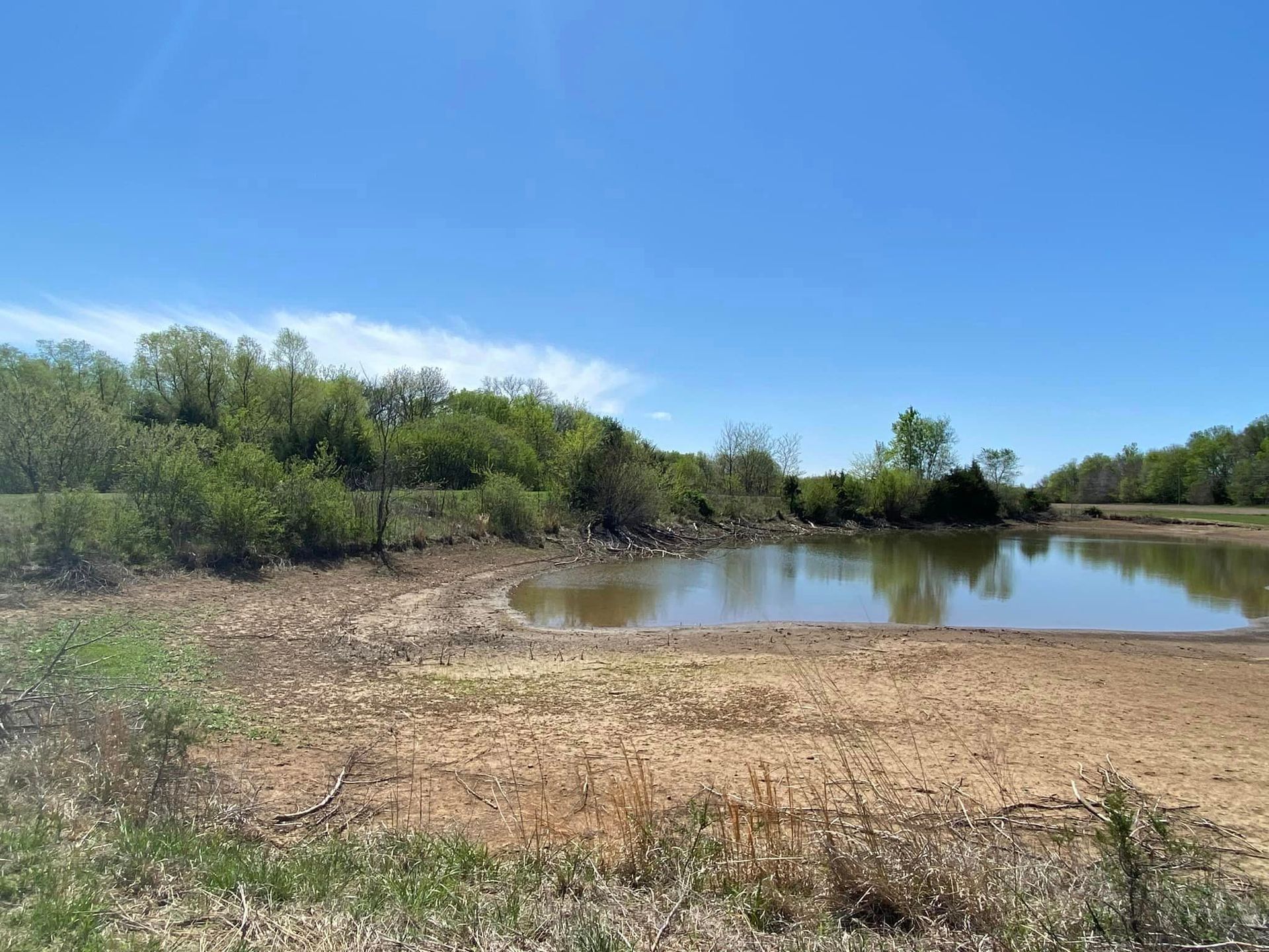 Drying pond with exposed mud banks, surrounded by green trees under a bright blue sky.