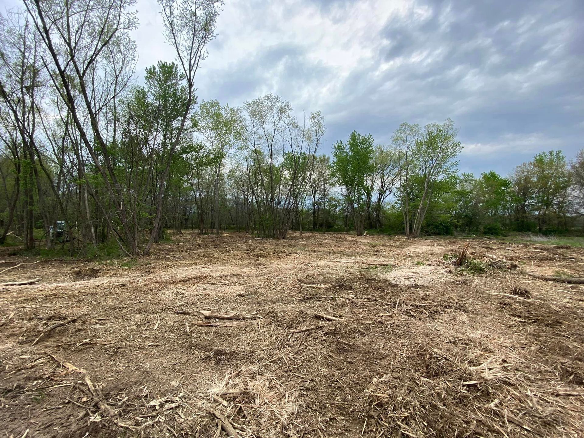 Clearing with wood chips, bordered by trees under a cloudy sky.