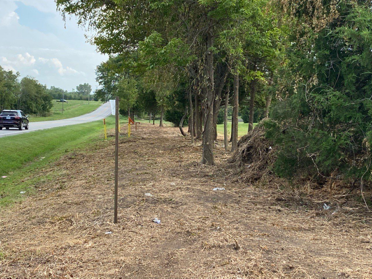 A roadside view with a car on a paved road, trees, and dry brush.