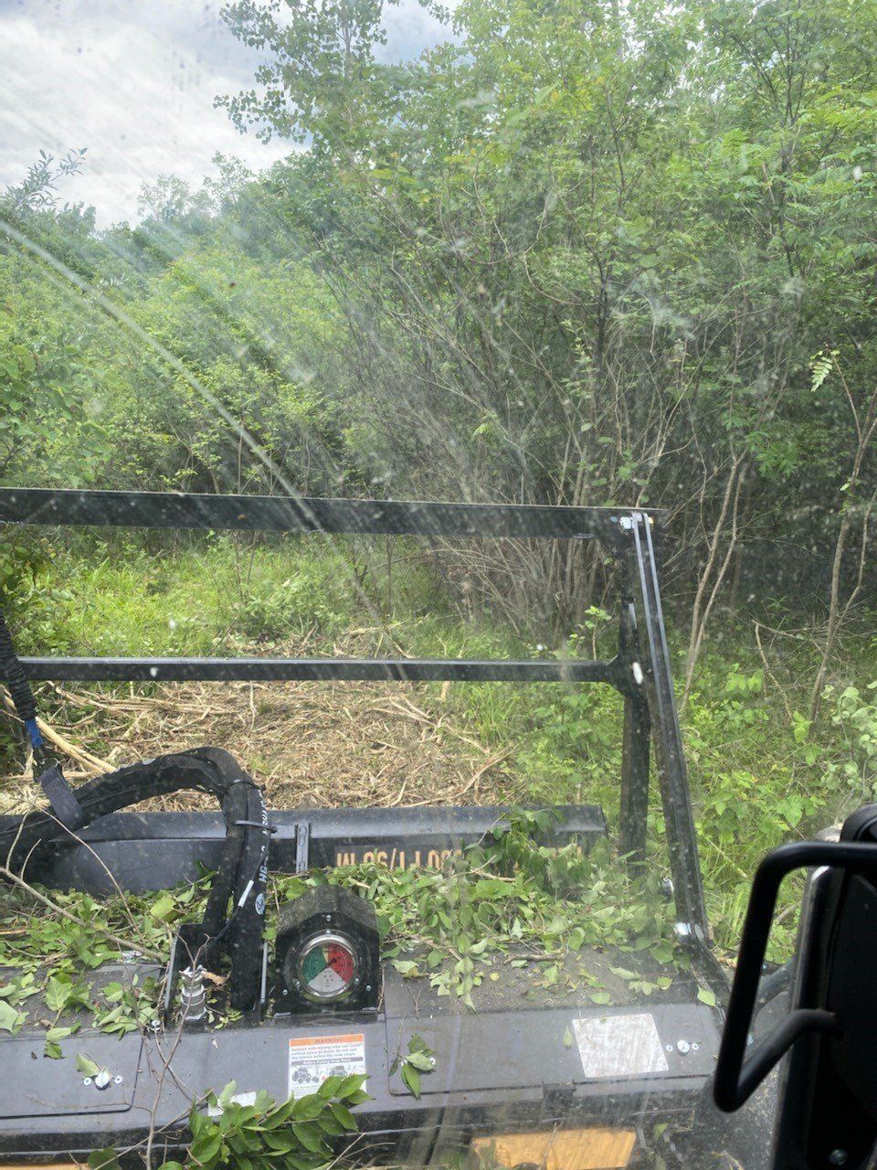 A brush cutter clearing overgrown vegetation. Green and brown hues dominate, with a glimpse of the operator's cab.
