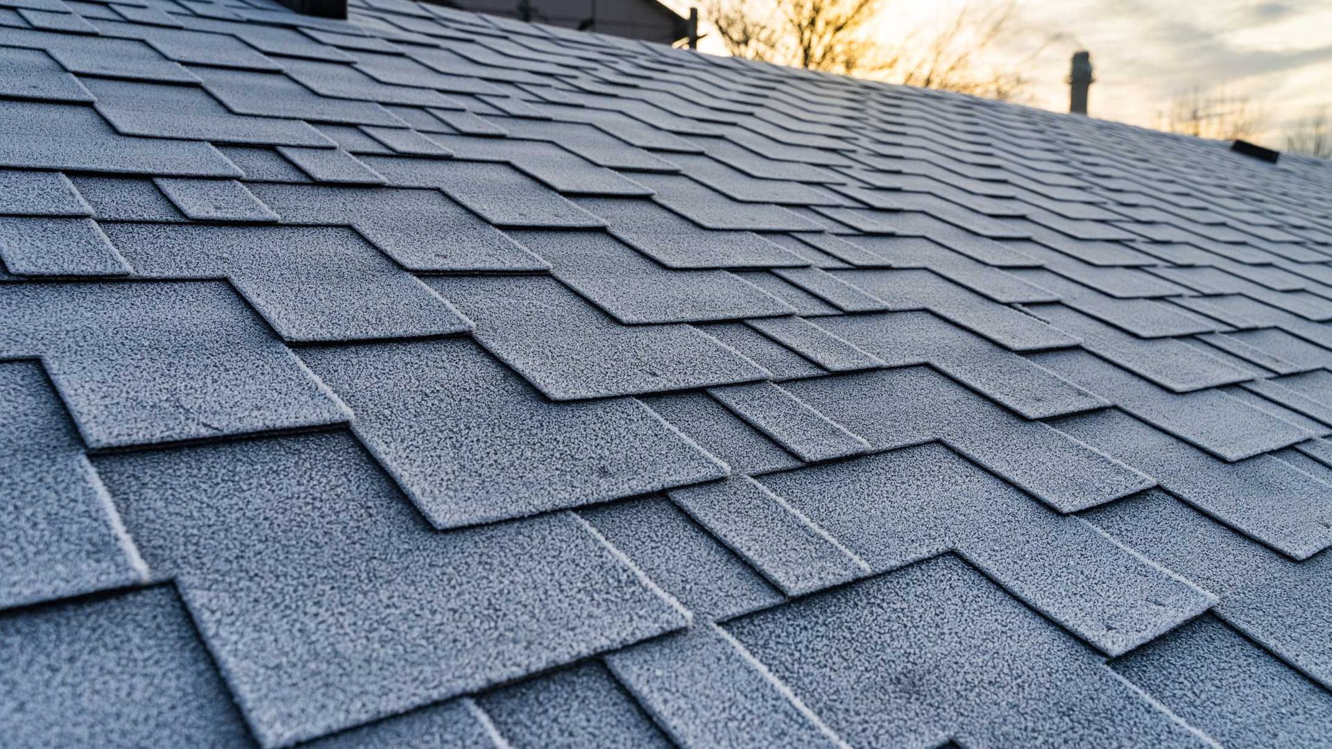 Close-up of a gray asphalt shingle roof.