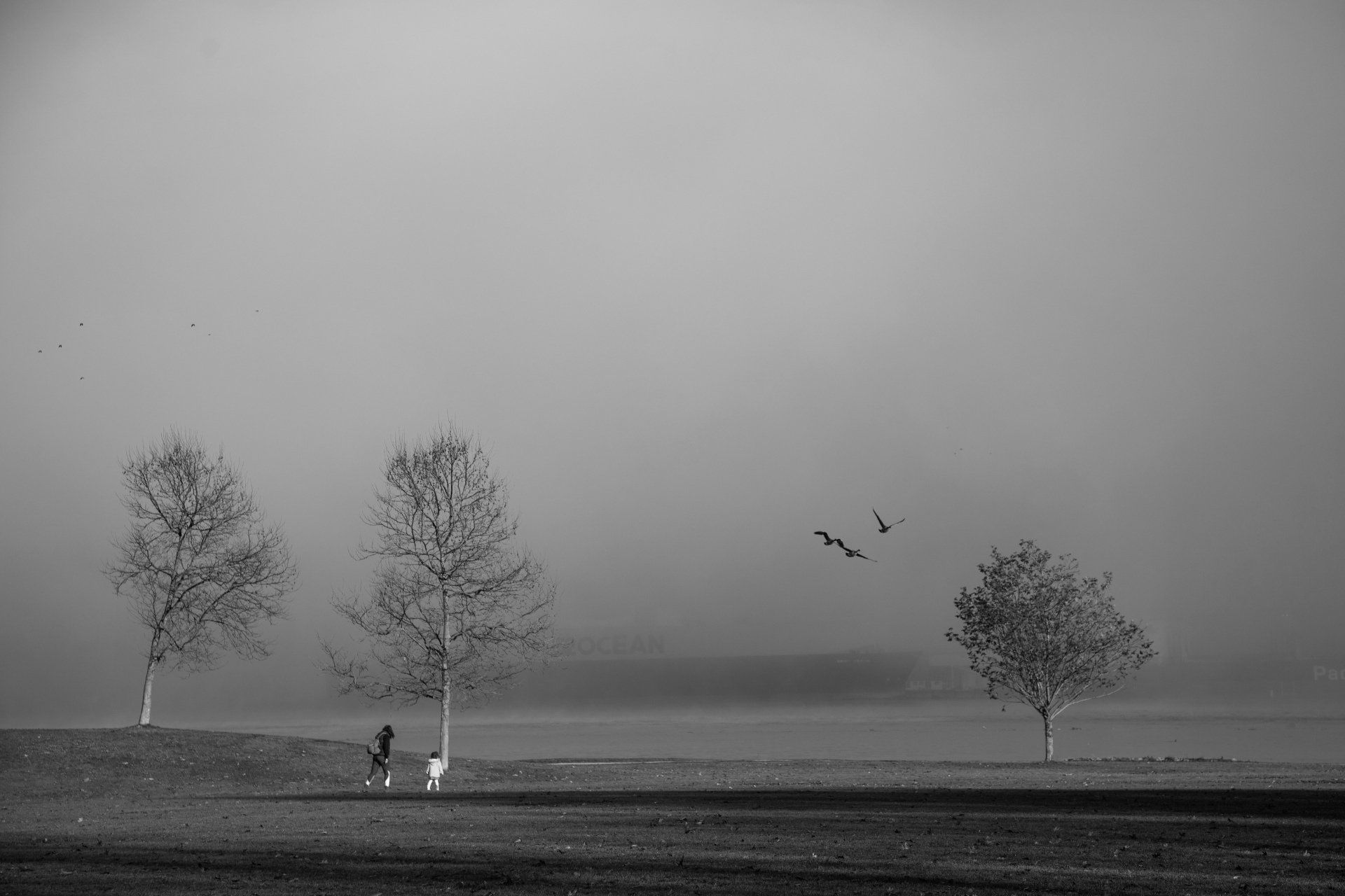 Natalie-DAngelo-Photography-Vancouver-BC-Canada-BlackWhite-Family-Portraits-Visual-Storyteller-two-girls-river