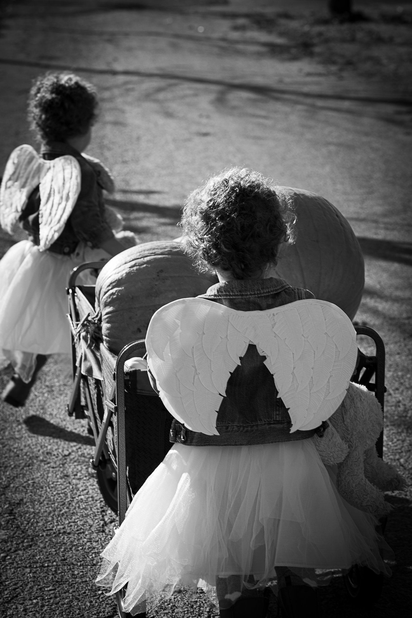 Natalie-DAngelo-Photography-Vancouver-BC-Canada-BlackWhite-Family-Portraits-Visual-Storyteller-twins-angels-pumpkin