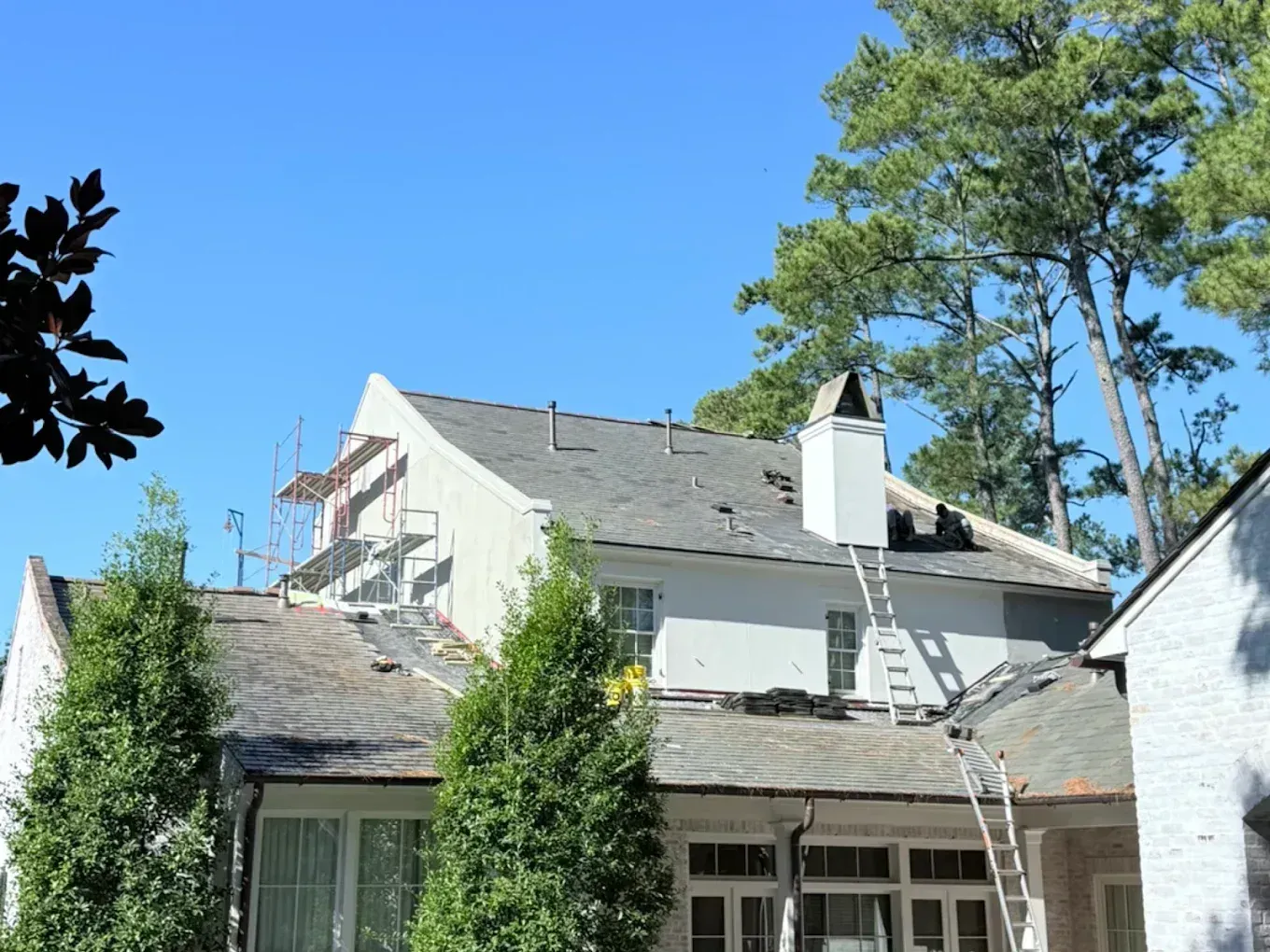 House with gray roof and white siding surrounded by tall trees under a clear blue sky